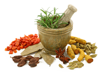 About Ayurvedic Treatment